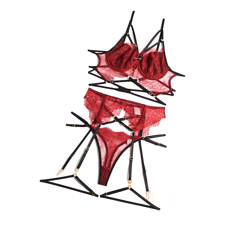 Lace Bralette Set - Nuovo pizzo Sexy Lingerie trasparente Hot